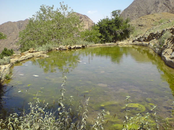 روستای خنج